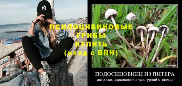 прущие крисы Михайлов