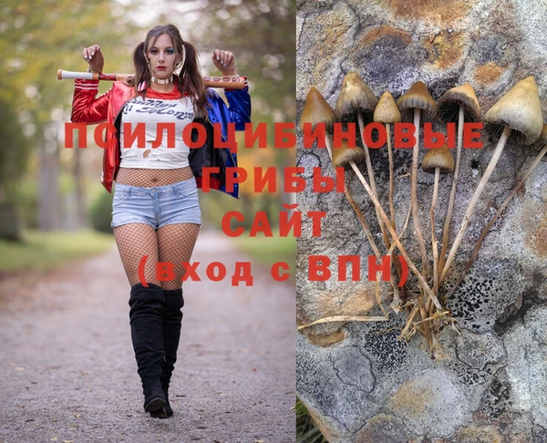 spice Михайловка