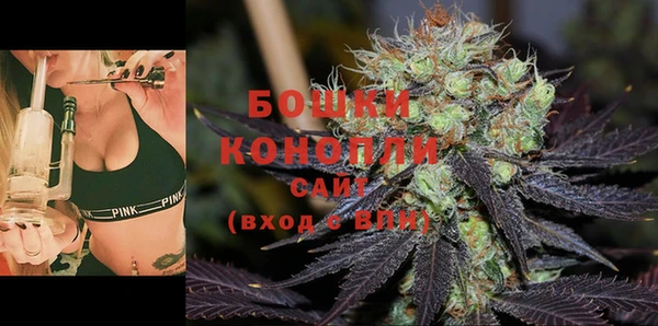 шишки Алексеевка