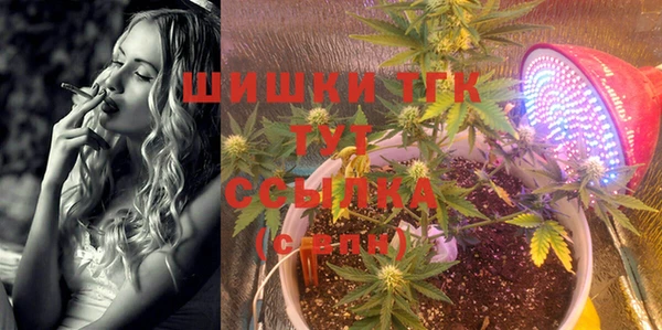 шишки Нея