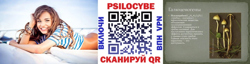 Псилоцибиновые грибы Psilocybine cubensis  Кондопога 