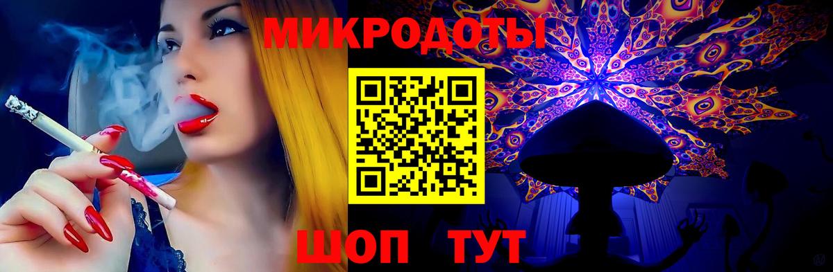 Псилоцибиновые грибы Cubensis Кондопога